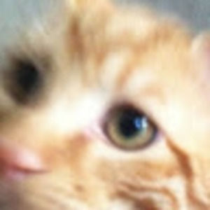 Meet your Posher, Araceli